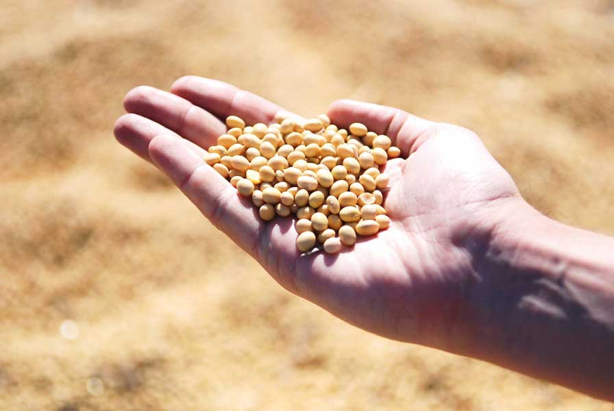 Agroindustria destaca potencialidades de la biotecnología a favor de la alimentación y la economía