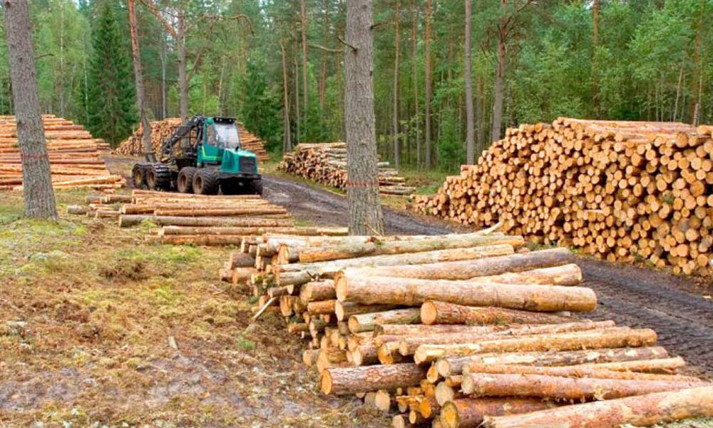Bolivia expresa en Europa su interés de ser parte de un acuerdo para abrir las exportaciones forestales
