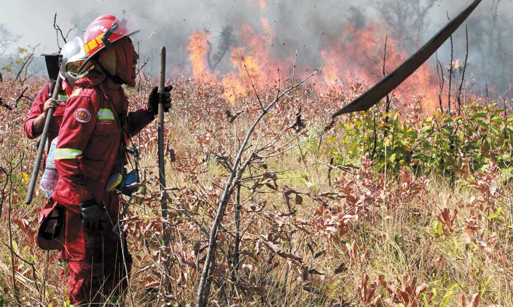 Chuquisaca: SAR Bolivia despliega voluntarios de distintos puntos del país para combatir incendios