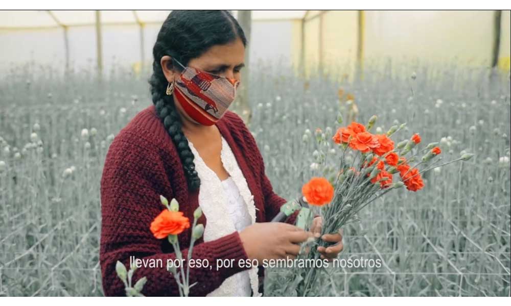 Floricultura de Cochabamba no se rinde ante la pandemia