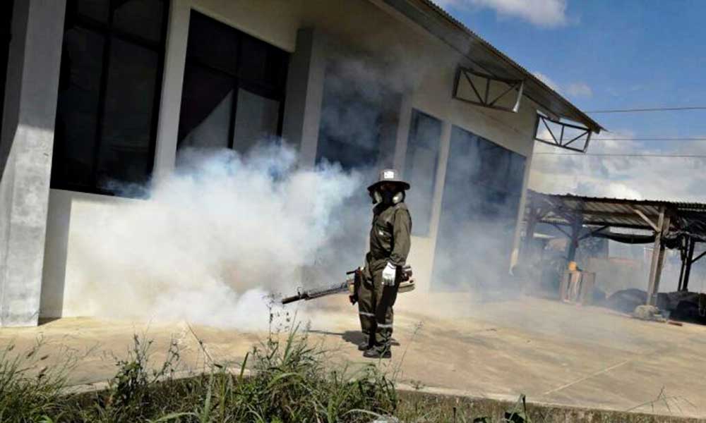 Gobernación cruceña aplica plan de contingencia contra el mosquito transmisor del dengue