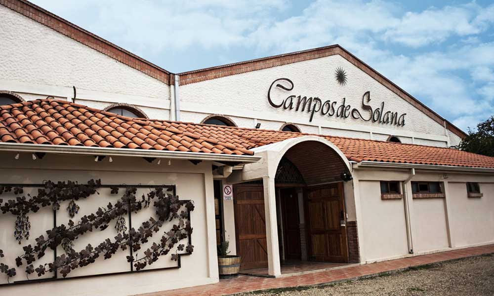 Campos de Solana celebra una vendimia exitosa