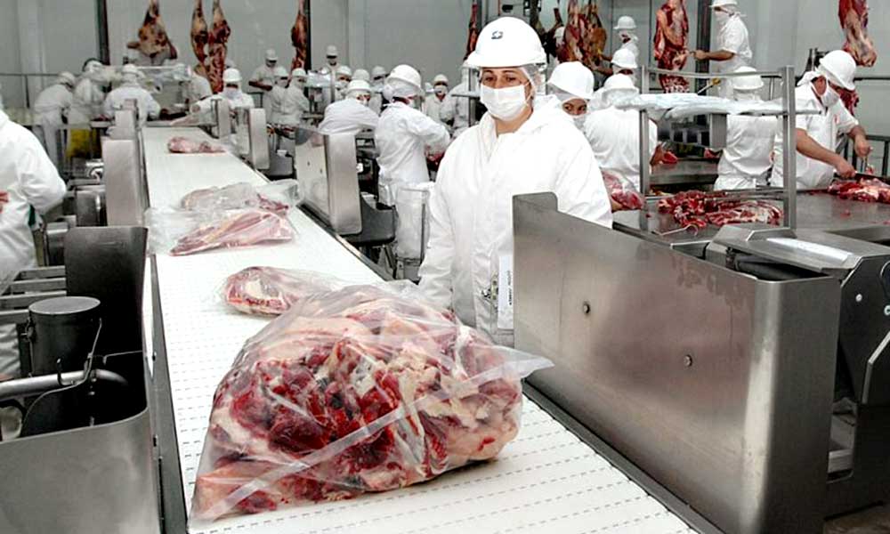 El Gobierno nacional anunció la suspensión temporal de la exportación de carne de res