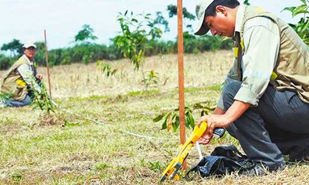 El 87% de las tierras del país están tituladas y saneadas y el INRA perfila concluir el proceso en 2024