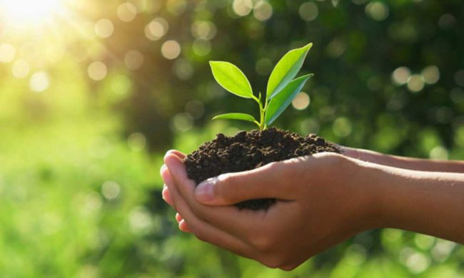 Fundare de Cainco organiza actividad para limpiar la ciudad en el día mundial de la tierra