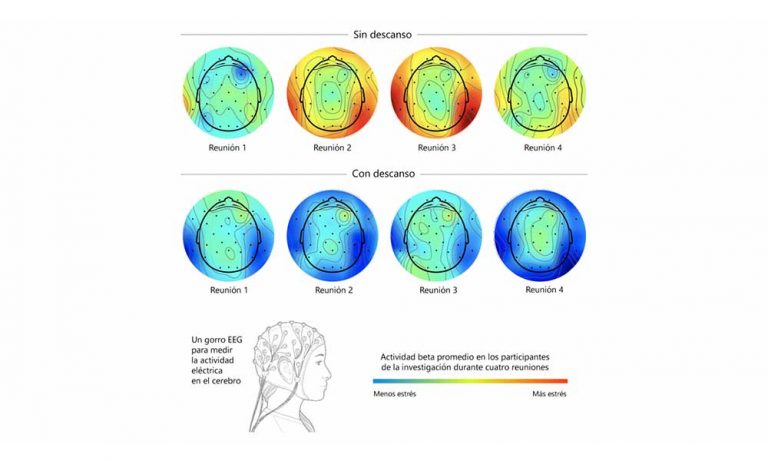Investigación sobre ondas cerebrales revela que los descansos cortos pueden combatir el estrés y la fatiga