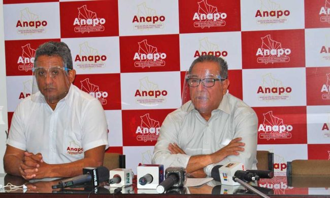 Anapo prevé disminución en la producción de granos a causa de las sequías y heladas Anapo prevé disminución en la producción de granos a causa de las sequías y heladas