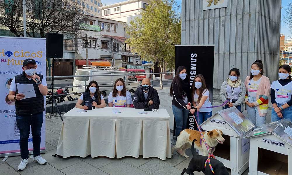 Next Level construirá “casitas” con material reciclado para los perros en situación de calle