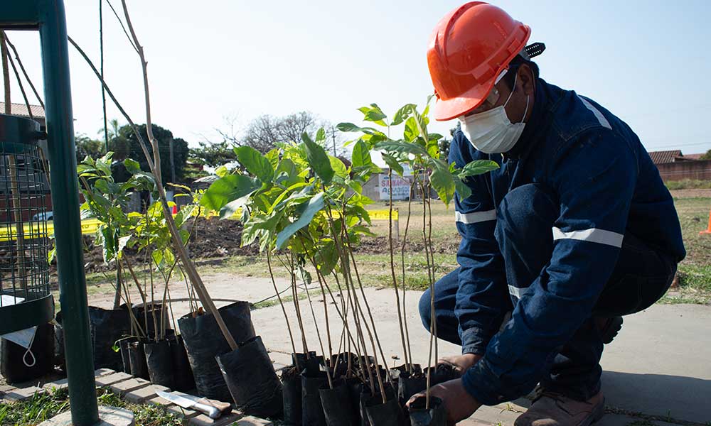 Personal de Embol realizó una jornada de plantación y siembra de árboles en Santa Cruz