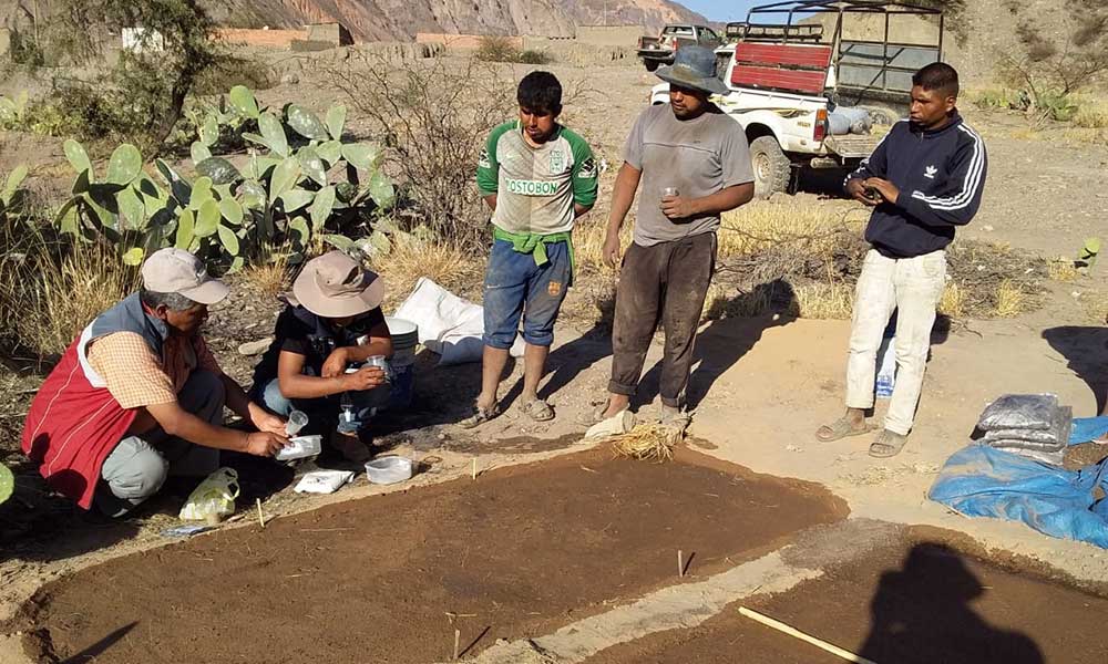 Productores de valles paceños se capacitan en la producción orgánica de tomate y frutas