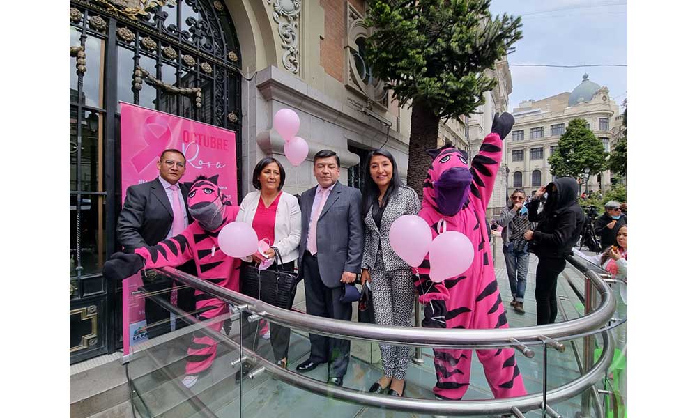 La Paz se viste de rosa para luchar contra el cáncer de mama