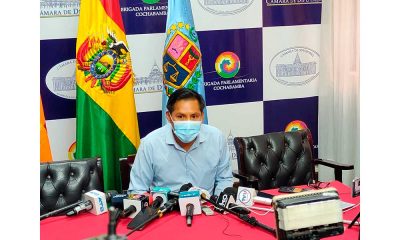 Más de 2000 plantines adornarán la zona sur Más de 2000 plantines adornarán la zona sur