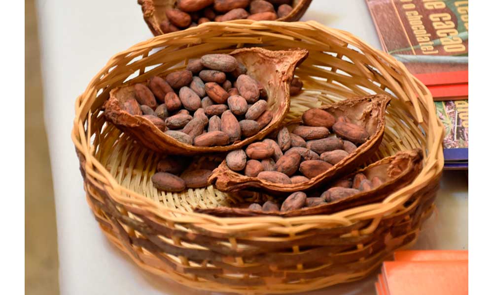 Se lanza convocatoria para el “SALÓN DEL CACAO  Y CHOCOLATE BOLIVIA 2022”