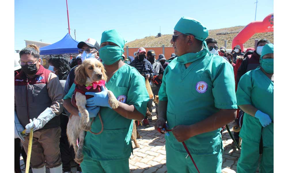 CBN dona losetas ecológicas y pallets para un albergue de animales abandonados en Oruro