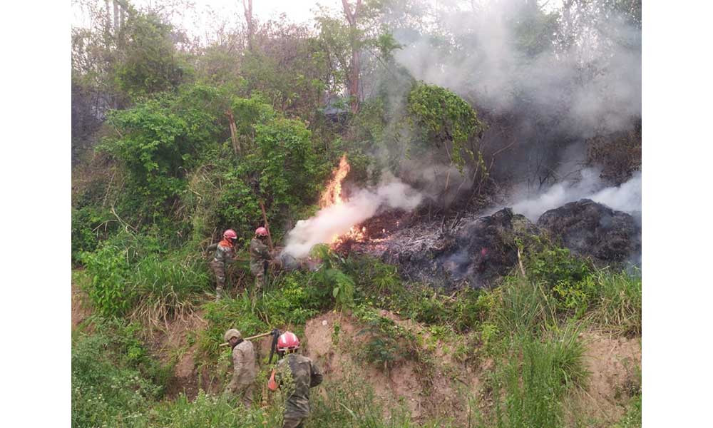 YPFB brinda apoyo logístico contra incendios en Tariquía para preservar la reserva ecológica