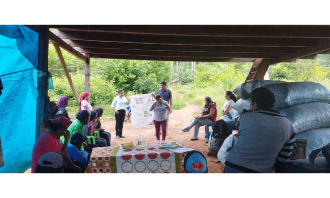 La promoción y Asistencia Técnica del BDP impactan en productores de la Amazonía boliviana La promoción y Asistencia Técnica del BDP impactan en productores de la Amazonía boliviana