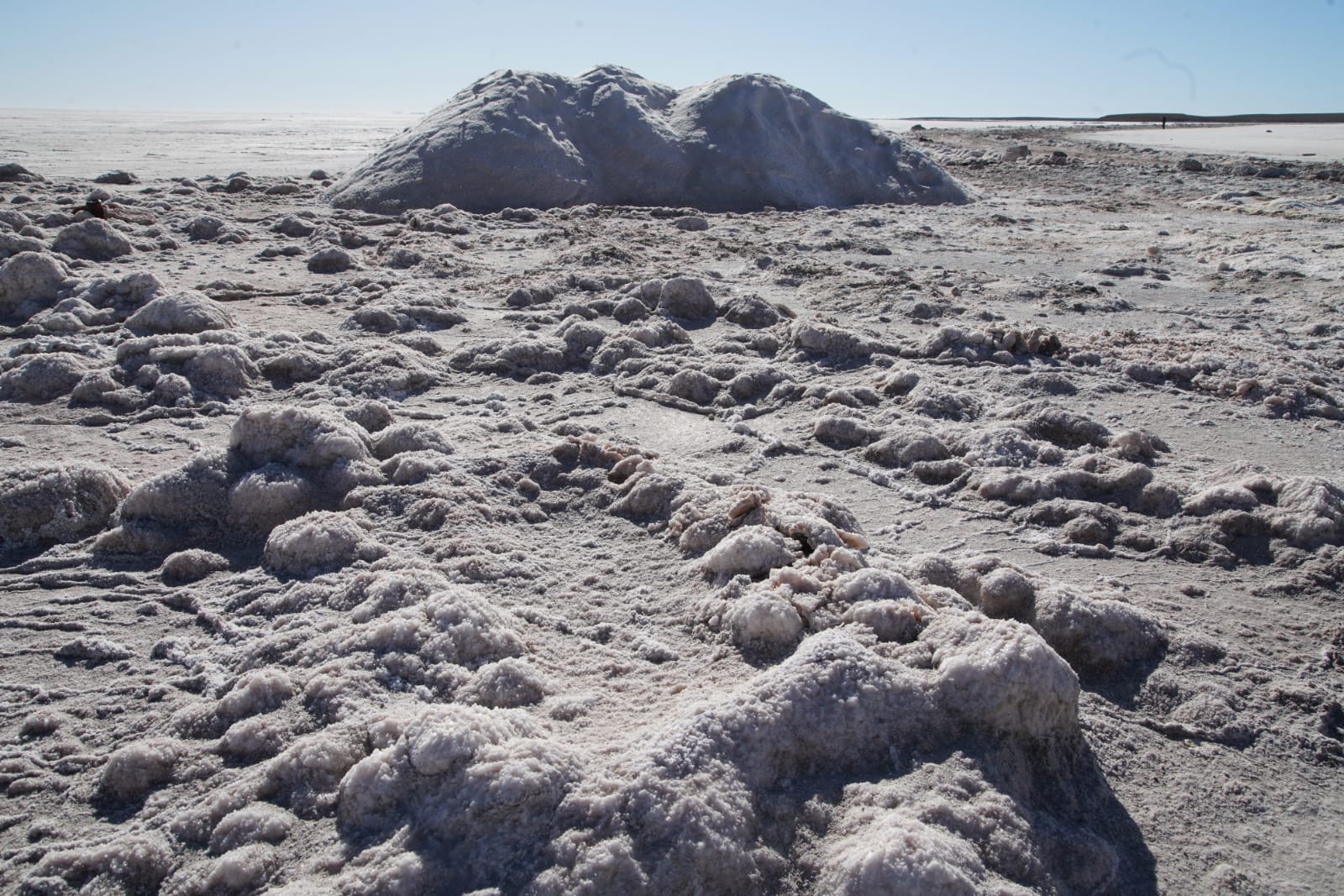 Bolivia concretizará su modelo soberano de negocios con 23 millones de toneladas de litio