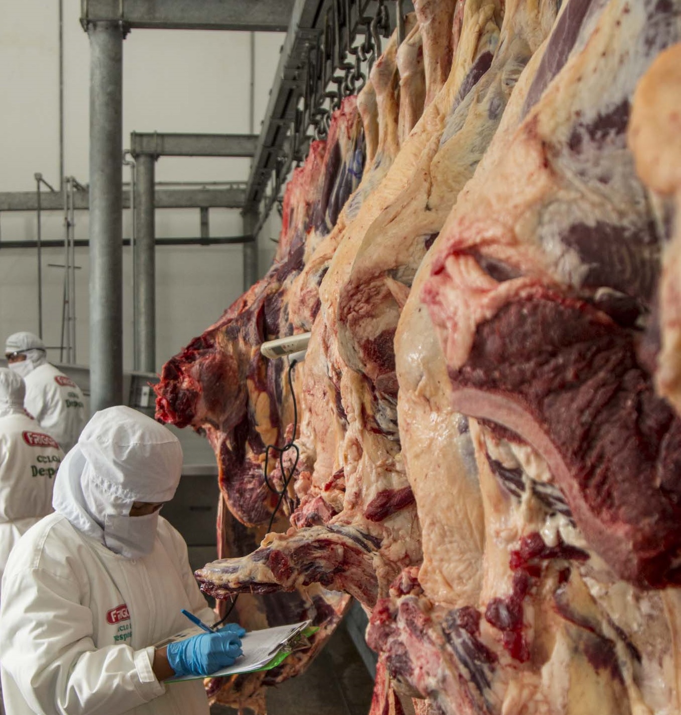 Comisión chilena inspecciona frigorífico cruceño con miras a exportar carne bovina boliviana a ese país