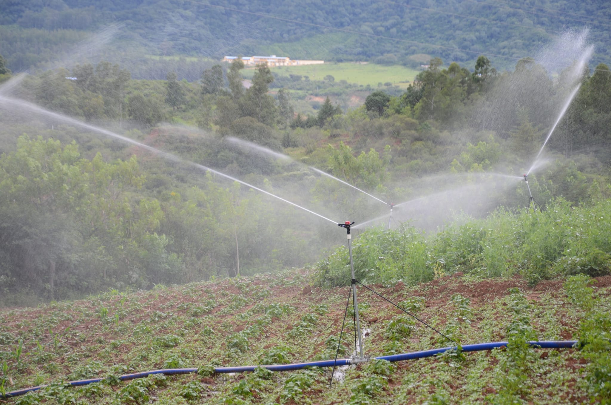 Gobierno entregará 24 proyectos de agua y riego en Cochabamba con más de Bs 150 millones