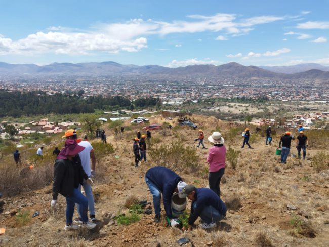 Éxito en Ecolimpieza y Forestación en la zona Chaqui Mayo del Parque Tunari Éxito en Ecolimpieza y Forestación en la zona Chaqui Mayo del Parque Tunari