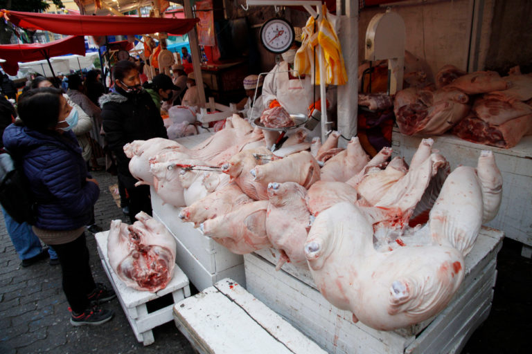 Aumenta producción de carnes de pollo, res y cerdo en Bolivia; alcanzan récords y niveles más altos Aumenta producción de carnes de pollo, res y cerdo en Bolivia; alcanzan récords y niveles más altos