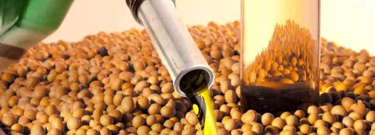 Gobierno invierte Bs 1.352,4 millones en plantas de aceite de grano de soya y especies oleíferas