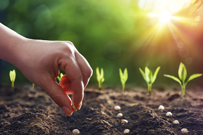 Energía y Seguridad alimentaria una mirada sostenible al futuro de Brasil y Bolivia