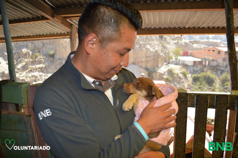BNB celebra el Día de San Roque con exitosa campaña de recolección de abrigos y alimentos para mascotas BNB celebra el Día de San Roque con exitosa campaña de recolección de abrigos y alimentos para mascotas