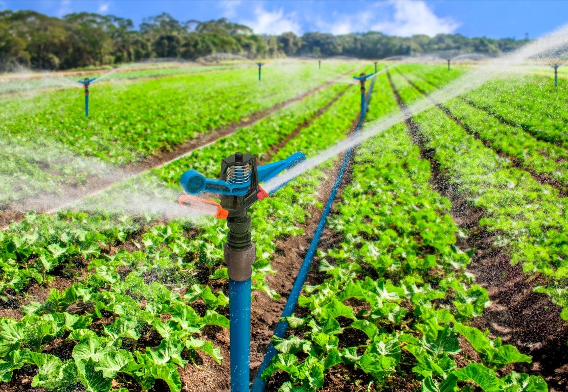 Tigre participa en la feria Agro Vidas con su gama de productos para el campo