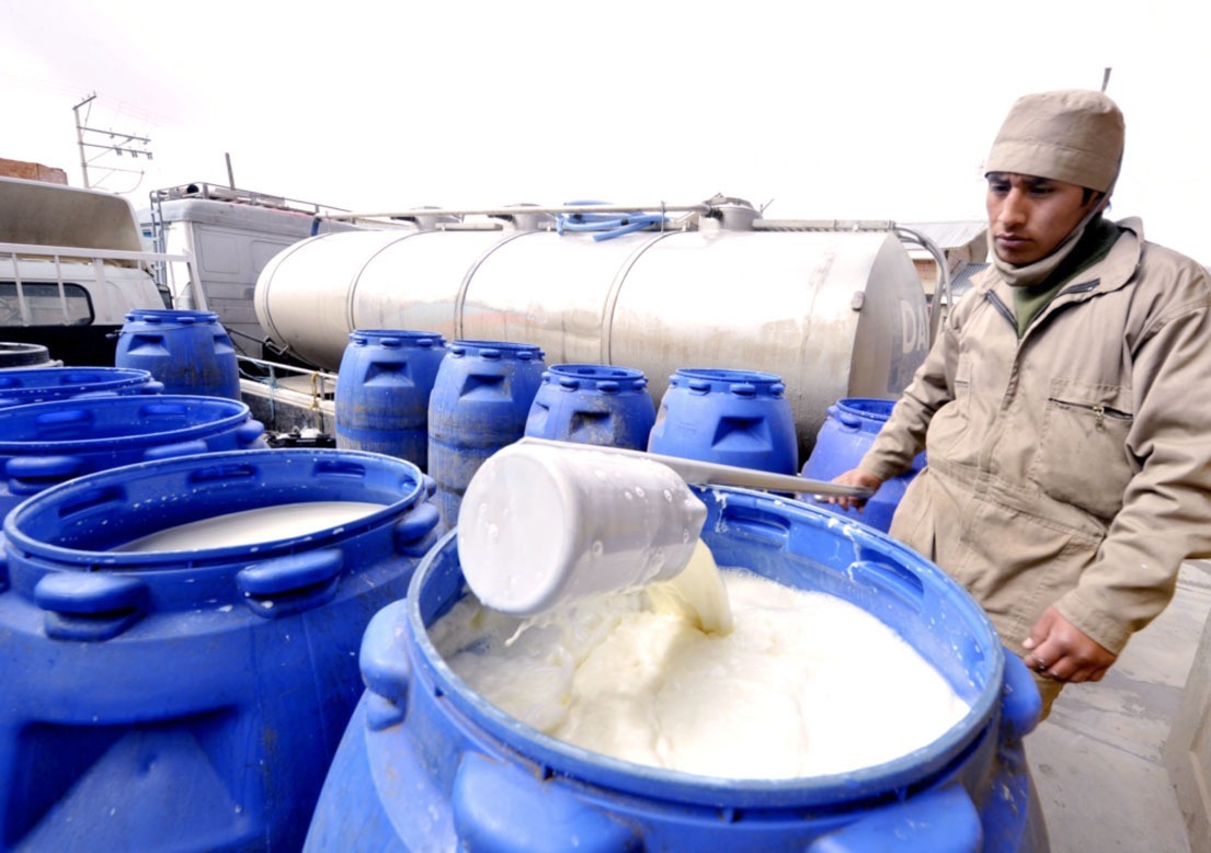 Bolivia generó $us 279 millones por exportación de 104.000 toneladas de leche en los últimos 10 años