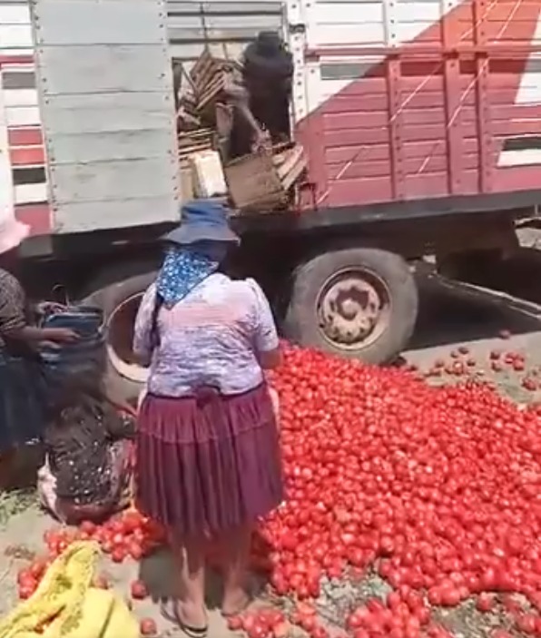 Tiran en plena vía grandes cantidades de tomate que se pudrió al no poder pasar el bloqueo evista   