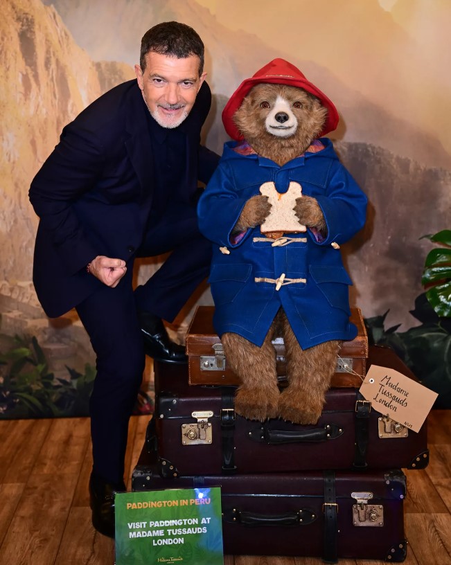 La avant premier de “Paddington en Perú”, se convirtió en un evento cultural y gastronómico