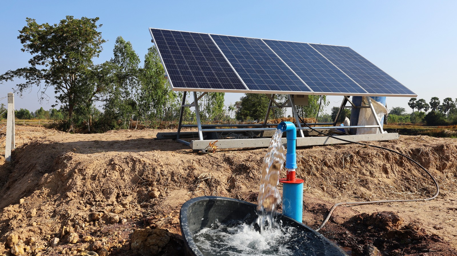Ecoeficiencia BDP impacta positivamente en el medio ambiente con la reducción de 18.584 t de CO2 Ecoeficiencia BDP impacta positivamente en el medio ambiente con la reducción de 18.584 t de CO2