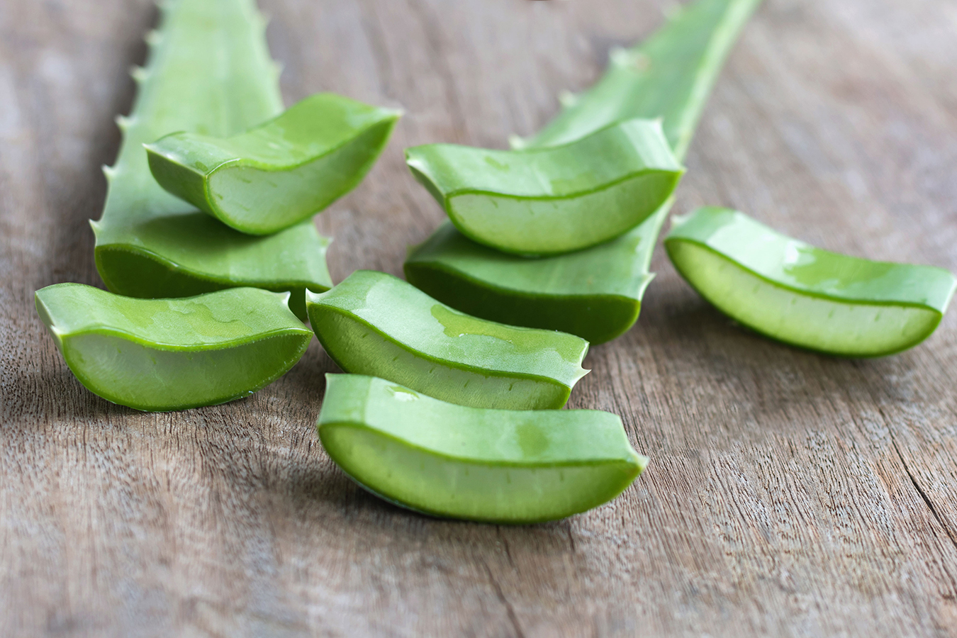 Aloe vera: conoce sus beneficios  y cómo hacer una elección segura