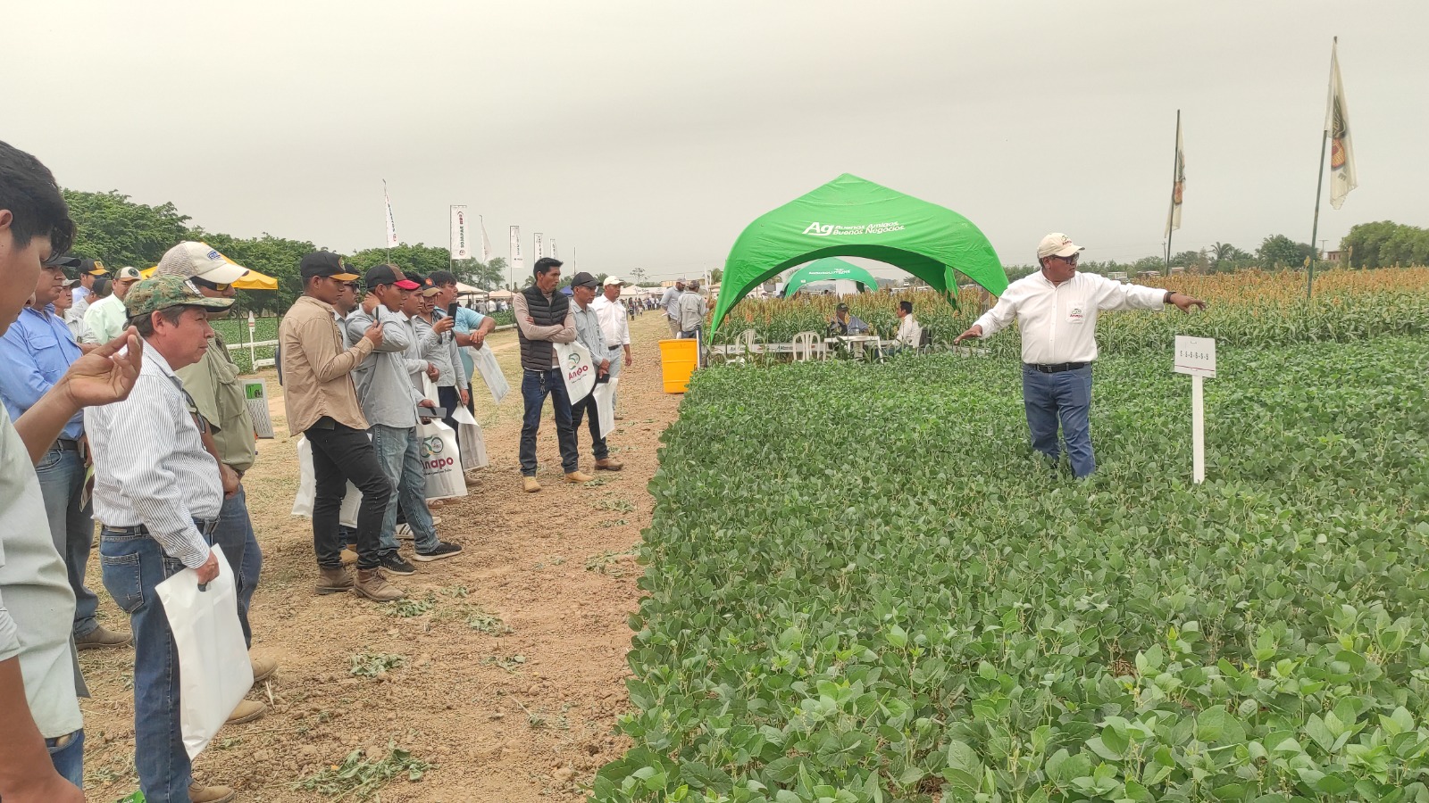Exposoya del Norte impulsa la innovación para fortalecer la agricultura sostenible