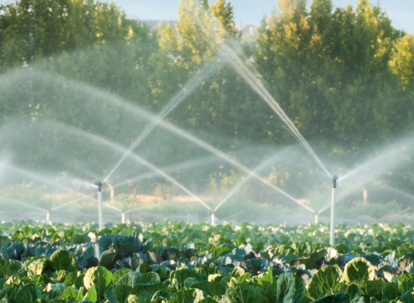 Ecoeficiencia BDP ahorra 2,6 millones de m³ de agua al año   