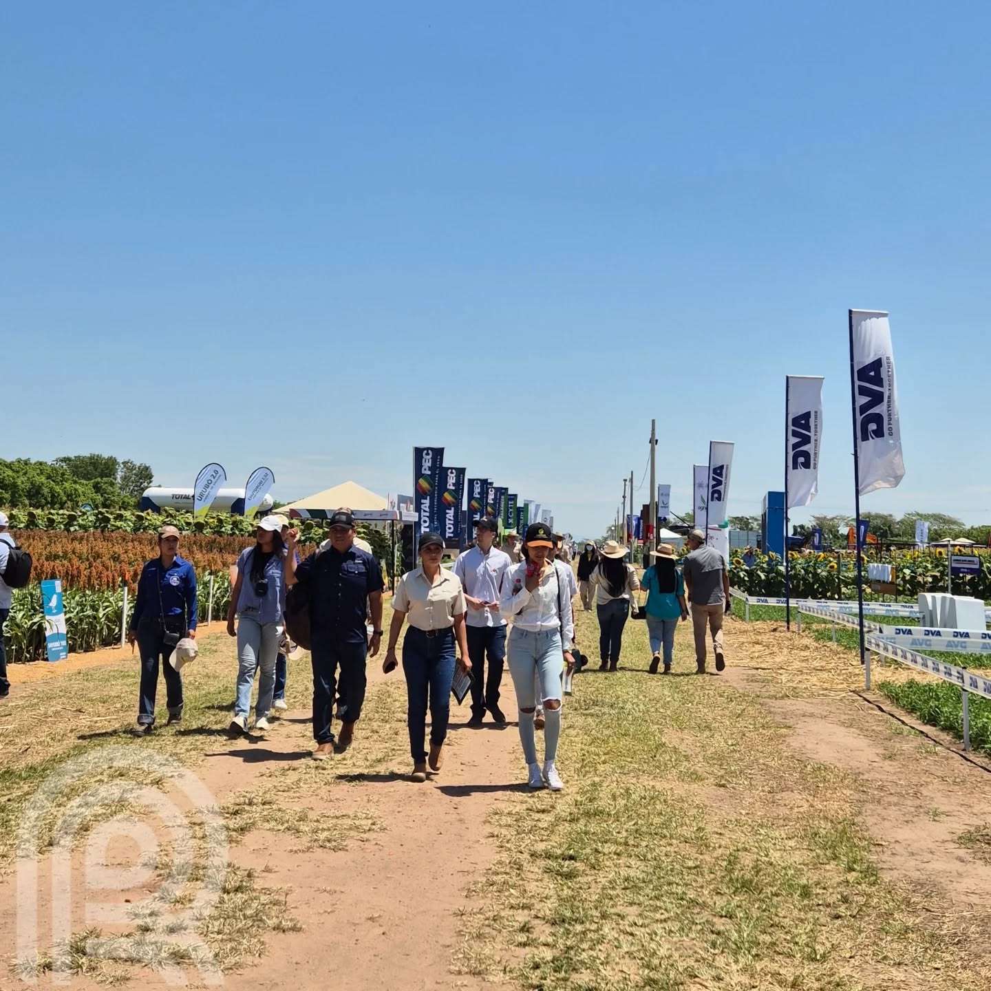 “El agro no se detiene”: AGRO VIDAS 2025 consolida su segunda jornada con alta participación y orgullo por el campo boliviano