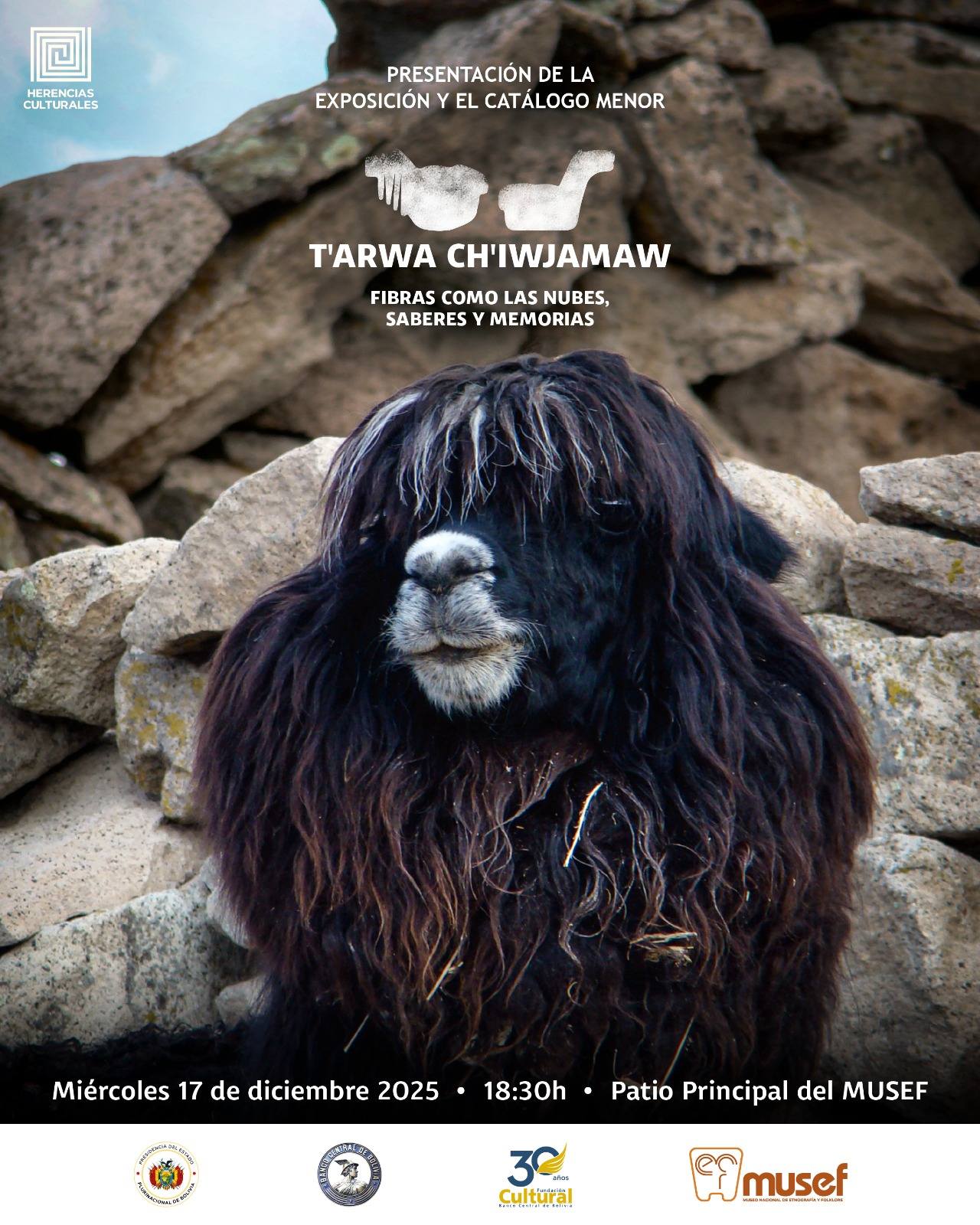 El MUSEF presenta “T’arwa ch’iwjamaw, fibras como las nubes”: un hito para la investigación textil boliviana y una nueva exposición dedicada a las fibras de camélidos