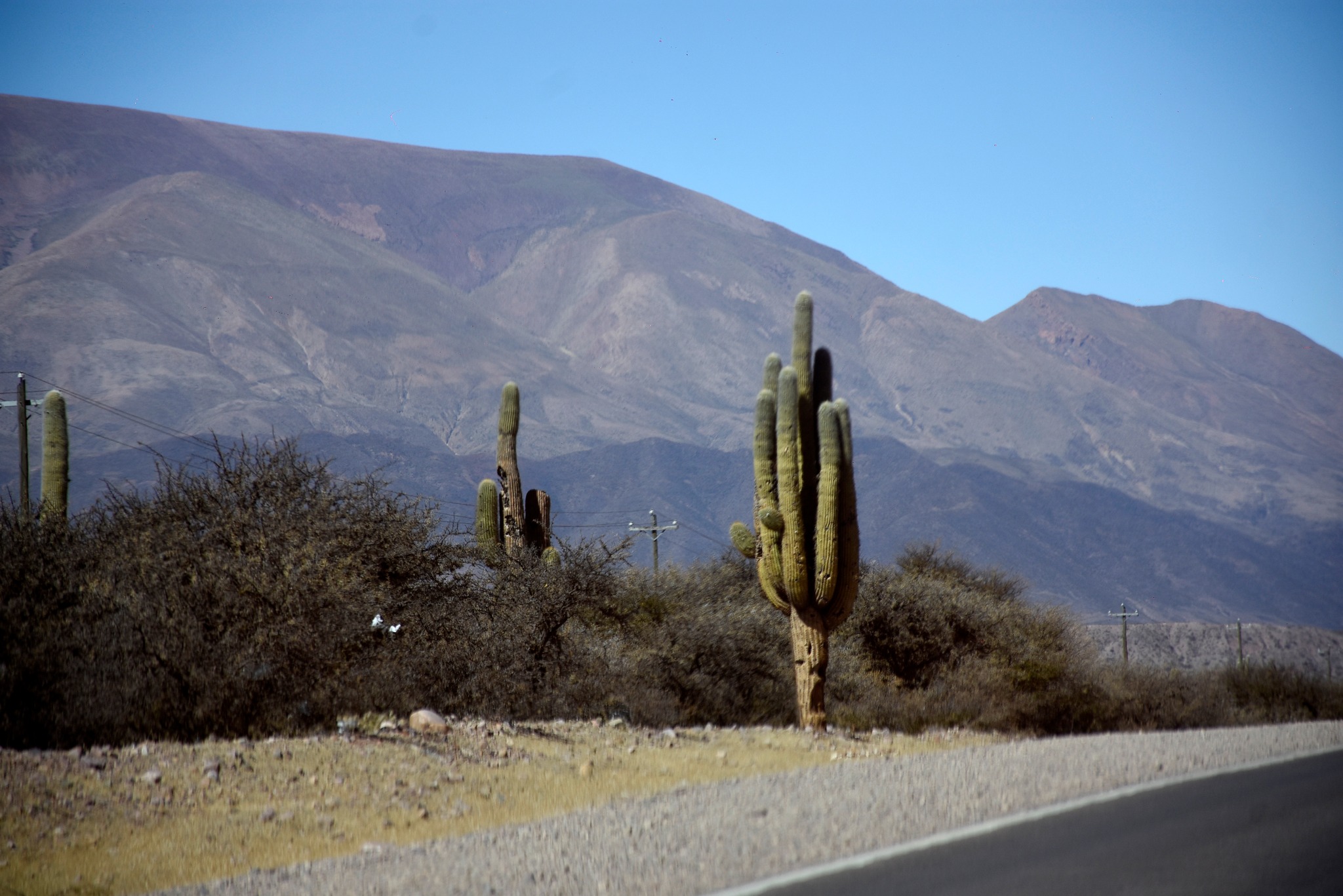 Ruta 9: Un viaje inolvidable desde la Quiaca hasta San Salvador de Jujuy
