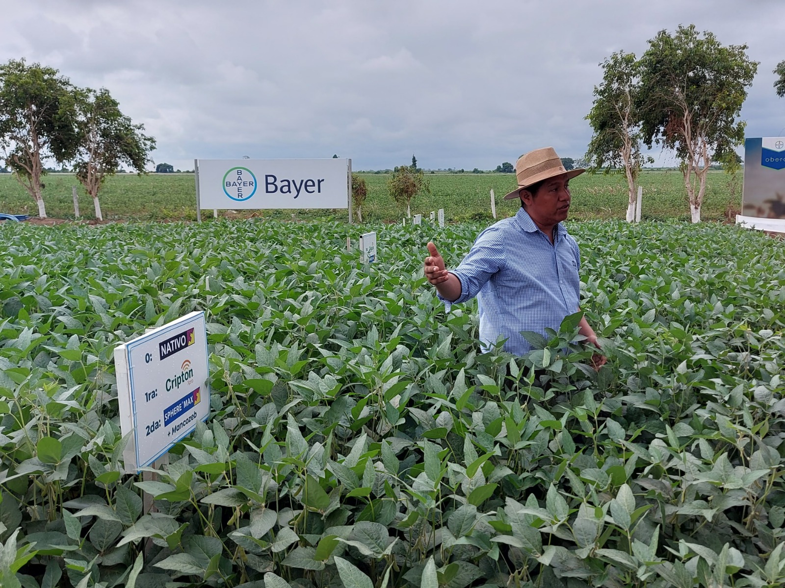 Bayer mostrará sus soluciones integrales para la protección de cultivos en el día de campo de CAICO